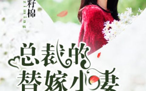 微信小说看到的《总裁的替嫁小妻》求最新章节
