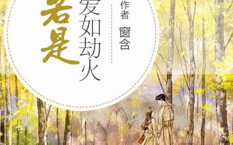 微信小说看到的《若是爱如劫火》求最新章节