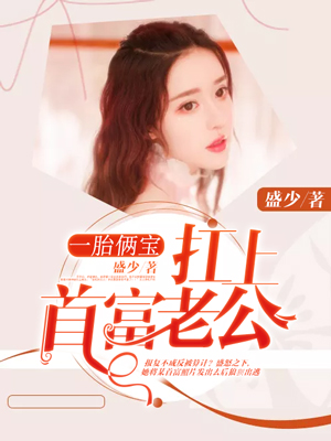 一胎俩宝:扛上首富老公
