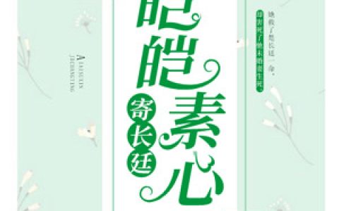 主角叫沈素心楚长廷《皑皑素心寄长廷》书籍章节列表