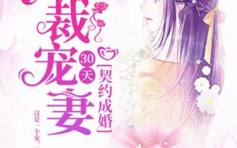 主角叫霍黎辰了言《契约成婚，总裁宠妻30天》书籍章节列表