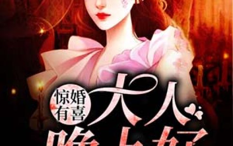 微信小说看到的《惊婚有喜：大人，晚上好》求最新章节