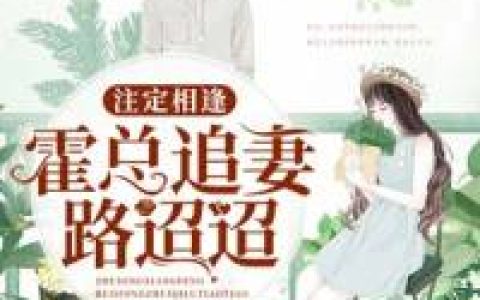 主角叫云念霍霆琛《注定相逢：霍总追妻路迢迢》书籍章节列表