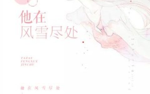 微信小说看到的《他在风雪尽处》求最新章节