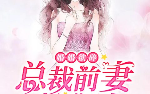 微信小说看到的《婚婚欲碎：总裁前妻太难追》求最新章节