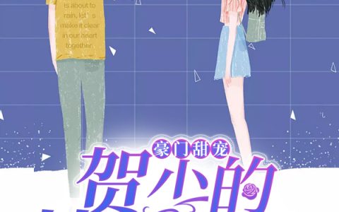 求小说《豪门甜宠：贺少的替嫁新娘》全文免费阅读资源！