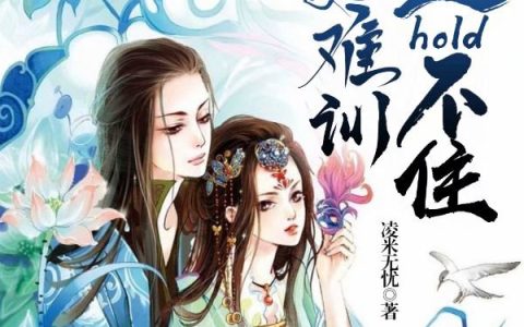 主角叫沐天澜慕容流云《妖妃难训：王爷hold不住》书籍章节列表