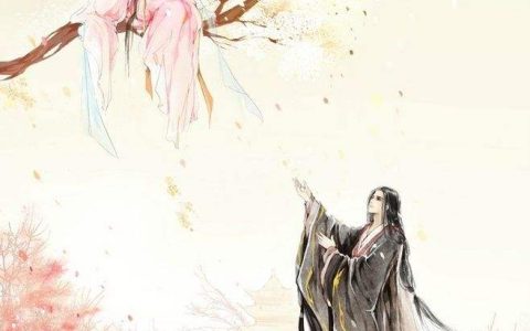 沉吟碧云间(沈静伊叶庭寒)小说在哪里看?