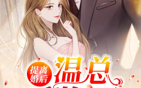 提离婚后，温总后悔了(夏伊温如许)小说在哪里看?