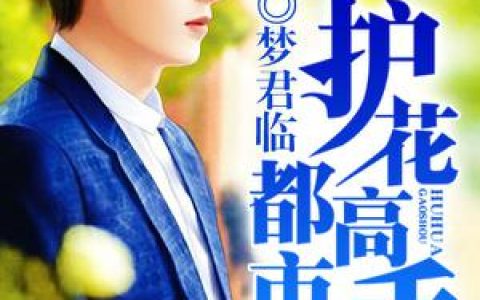 求小说《都市护花高手》全文免费阅读资源！