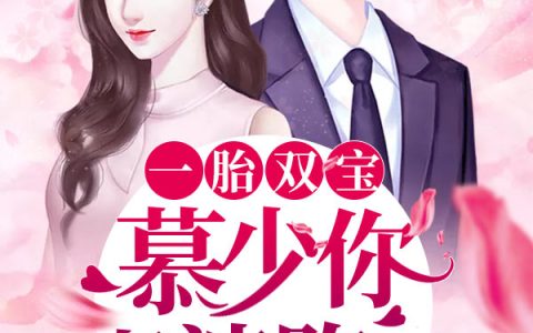 一胎双宝：总裁大人请温柔(阮白邓芳)小说在哪里看?