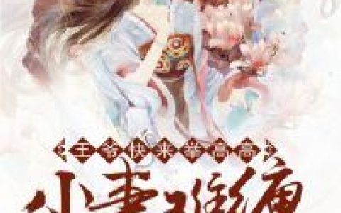 微信小说看到的《小妻难缠：王爷快来举高高》求最新章节
