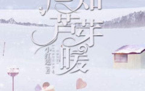 沈澜祀江芦芽小说最新章节列表
