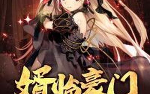 婿临豪门(林清音林九天)小说在哪里看?