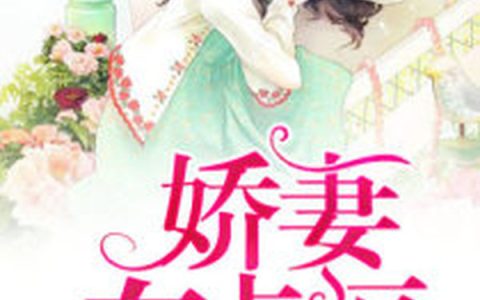 主角叫沈清樱王凯《娇妻有点逗》书籍章节列表