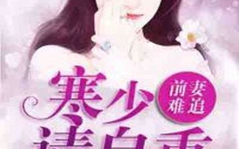 主角叫张艳霍少《前妻难追：寒少请自重》书籍章节列表
