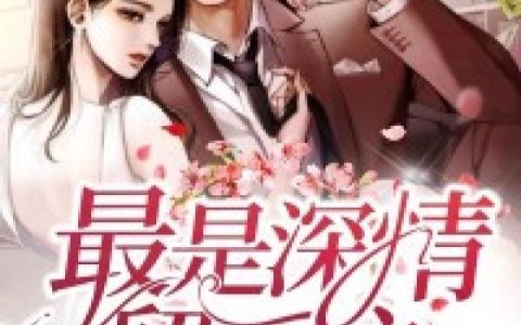 宋顾城阿雪小说最新章节列表
