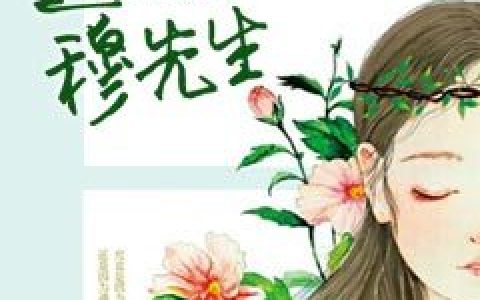 微信小说看到的《遇到爱情的穆先生》求最新章节