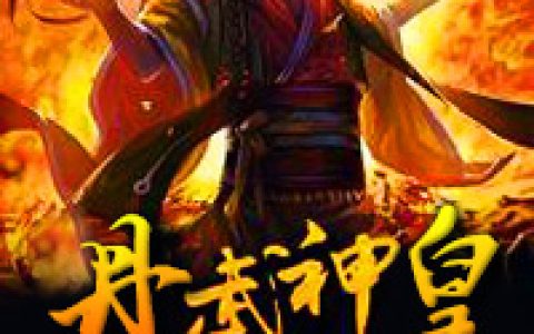 主角叫沈飞元元《丹武神皇》书籍章节列表