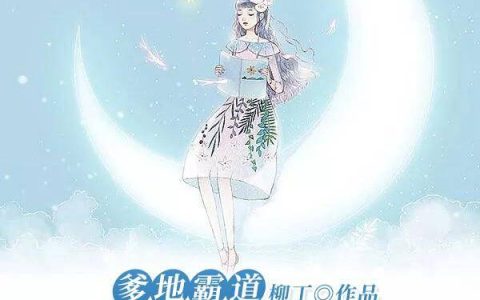 求小说《将军，夫人又跑了》全文免费阅读资源！