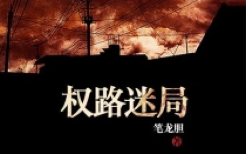 微信小说看到的《权路迷局-精修第一版》求最新章节