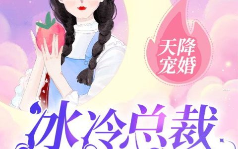 微信小说看到的《天降宠婚：冰冷总裁撩妻上瘾》求最新章节