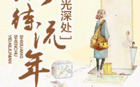时光深处，以待流年(裴少辰夏西西)小说在哪里看?