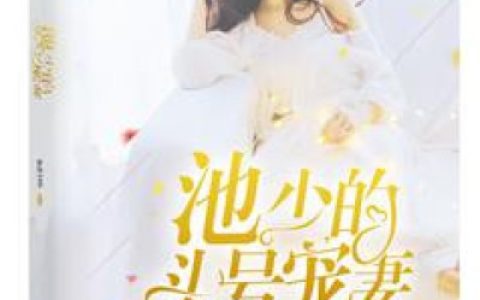 池少的头号宠妻最新的章节怎么看?
