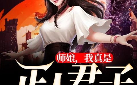 师娘，我真是正人君子(叶凡吴少)小说在哪里看?