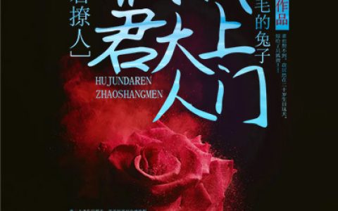 夫君撩人：狐君大人找上门最新的章节怎么看?