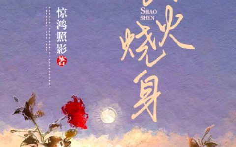 苏轻陆子昂小说最新章节列表