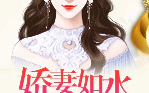 微信小说看到的《娇妻如水夫似火》求最新章节
