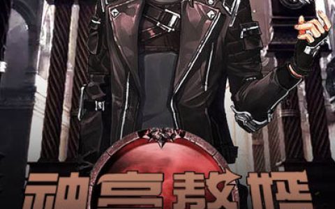 求小说《神豪赘婿》全文免费阅读资源！