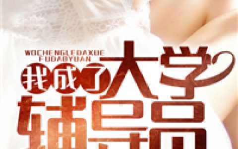 主角叫白舟李丝《我成了大学辅导员》书籍章节列表