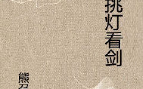 醉里挑灯看剑(陶渊明陶先生)小说在哪里看?