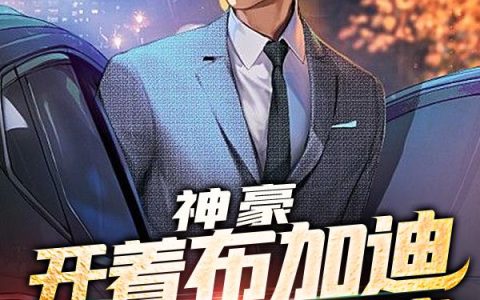 主角叫叶凡辰王多鱼《神豪：开着布加迪威龙跑滴滴》书籍章节列表