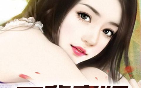 主角叫李承汪泰平《至尊废婿》书籍章节列表