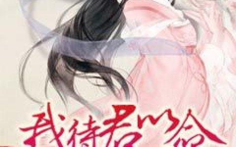 求小说《我待君以命，君赐我薄情》全文免费阅读资源！