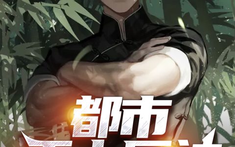 求小说《都市无上医神》全文免费阅读资源！