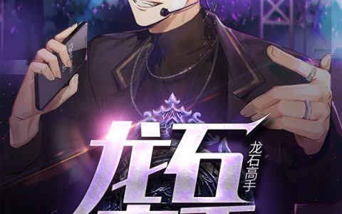 龙石高手(林晨郭洁)小说在哪里看?