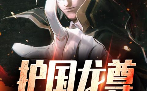 主角叫秦无炎林雨馨《护国龙尊》书籍章节列表