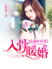 入骨暖婚:总裁好好爱