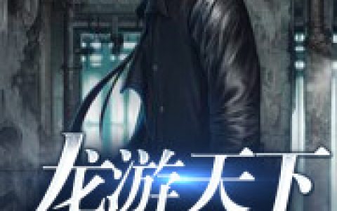 龙游天下(叶锋苏凝霜)小说在哪里看?
