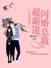 私宠100婚:闪婚总裁超霸道
