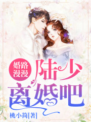 婚路漫漫:陆少离婚吧!