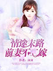 情途末路:前妻不二嫁