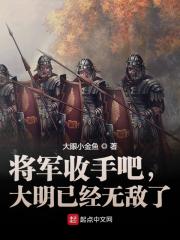 将军收手吧,大明已经无敌了