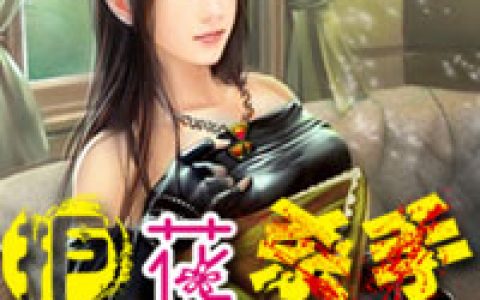 求小说《护花杀手混都市》全文免费阅读资源！