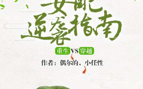 微信小说看到的《重生VS穿越：女配逆袭指南》求最新章节