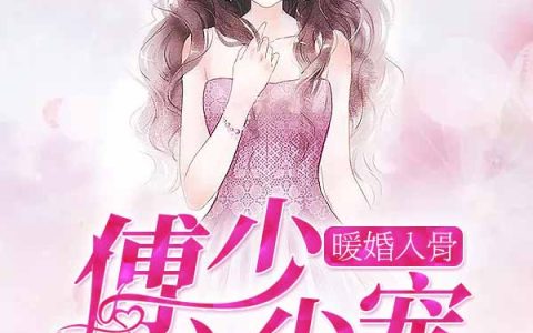 主角叫秦思妙林馥雅《暖婚入骨：傅少心尖宠》书籍章节列表